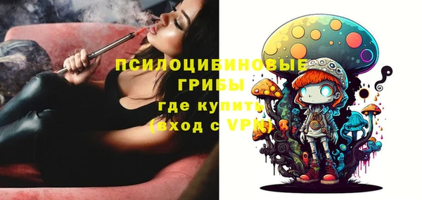соль ск Алексеевка