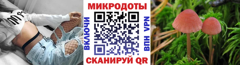 kraken как войти  Гвардейск  Псилоцибиновые грибы Psilocybine cubensis 